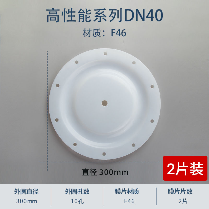 300mm 10孔特氟龍F(tuán)46膜片